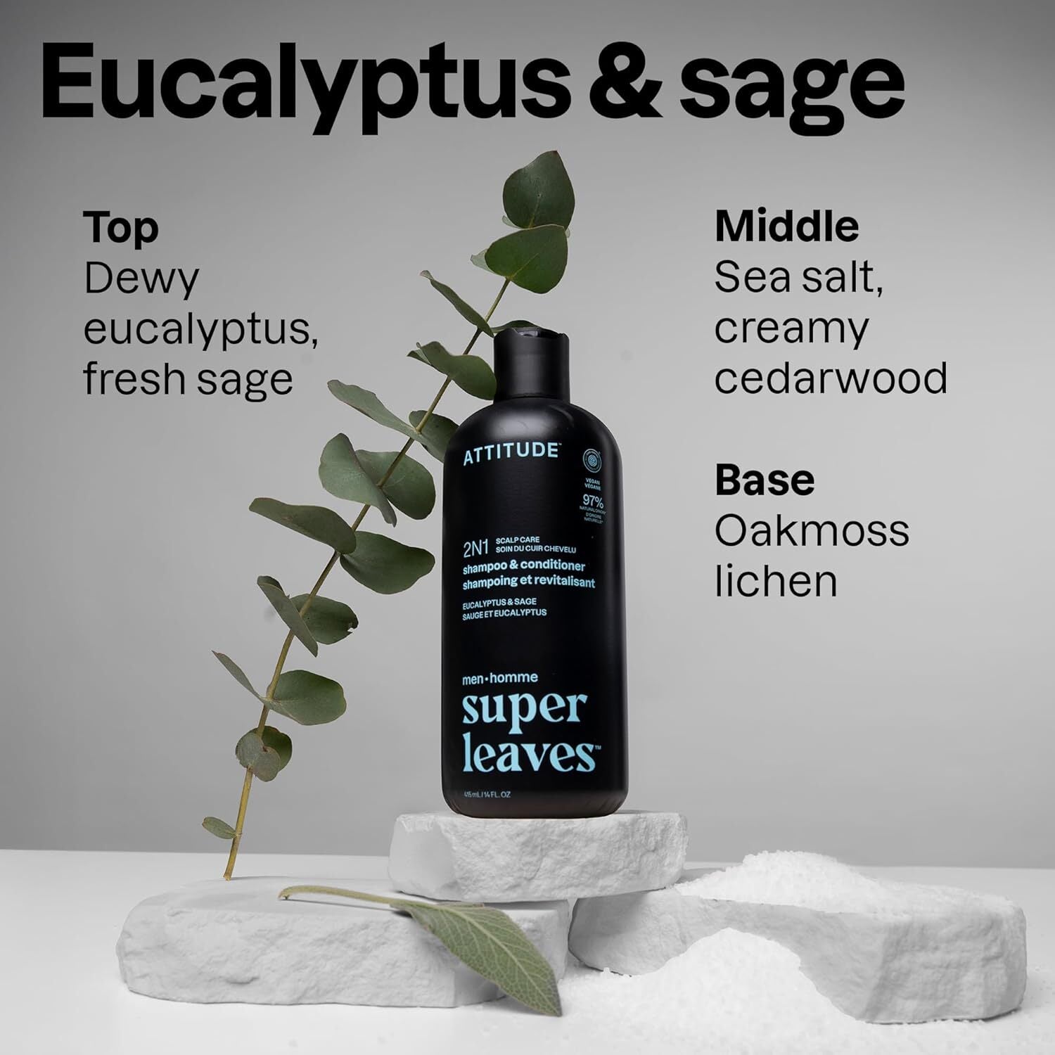 Attitude Super Leaves 2 N 1 Scalp Care Shampoo And Conditioner