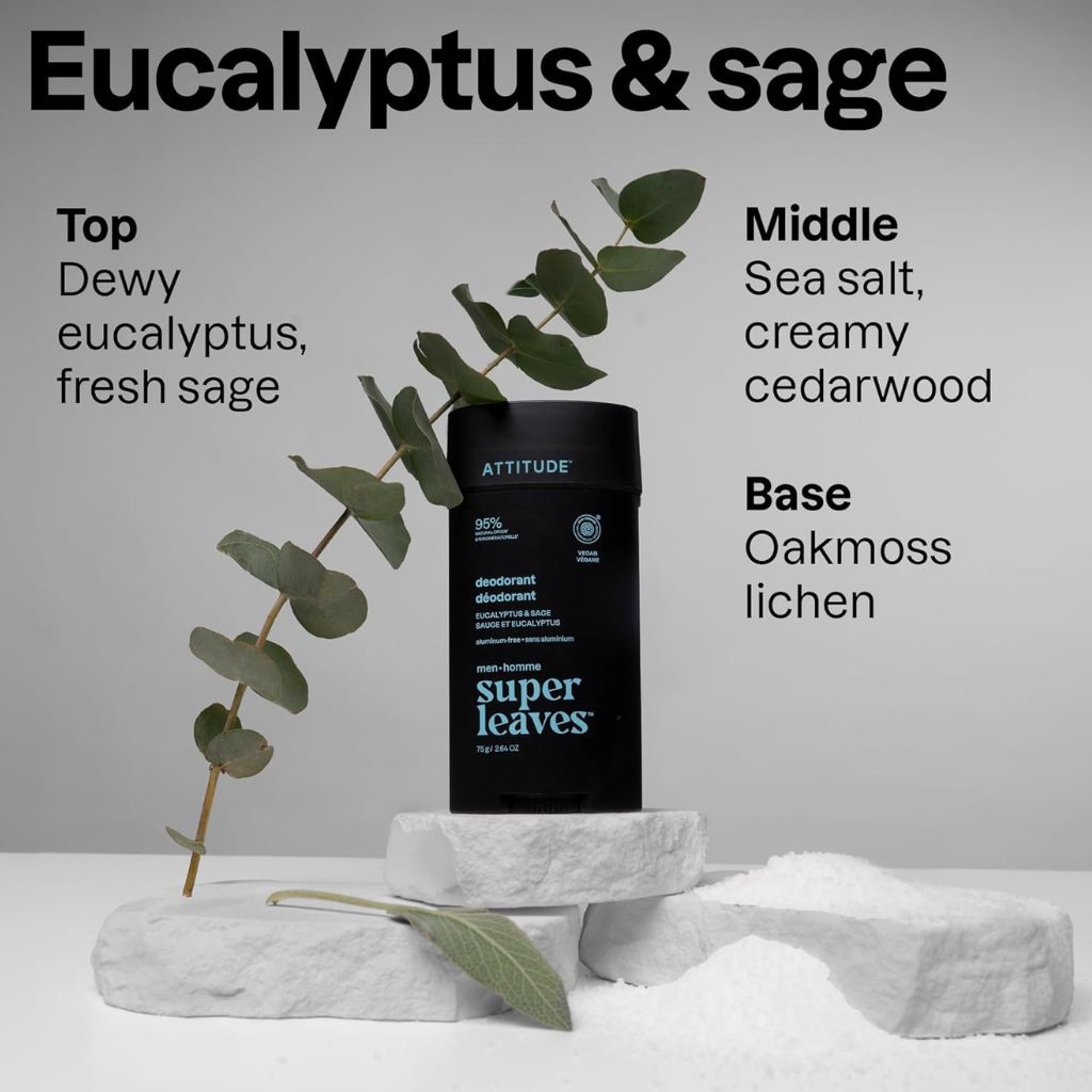 Attitude Super Leaves Men Eucalyptus And Sage Deodorant Stick