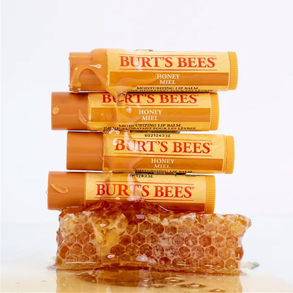 Burts Bees Bee Wax And Honey Moisturizing Lip Balms Set