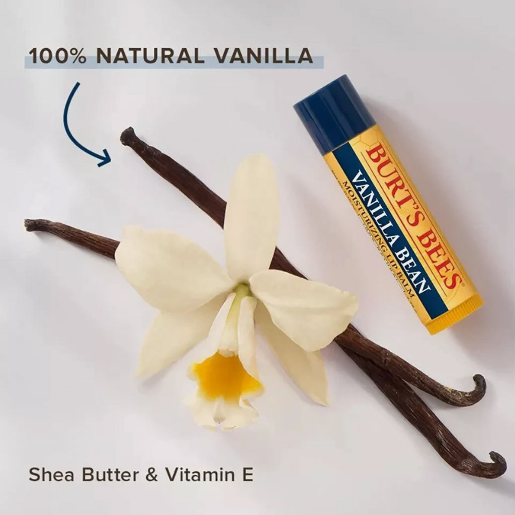 Burts Bees Beeswax And Vanilla Bean Lip Balms Duo