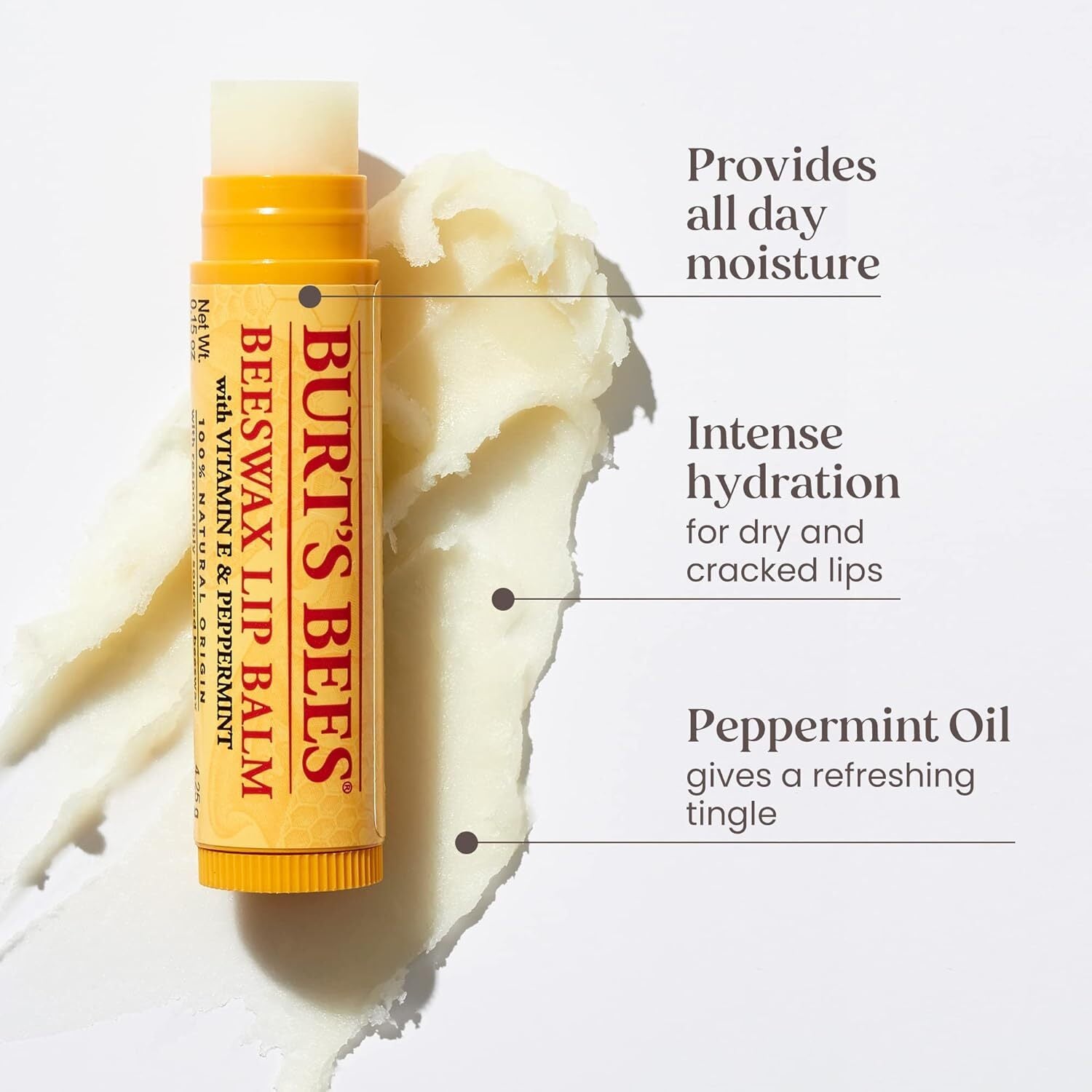 Burts Bees Bit Of Burts Lip Balm Set