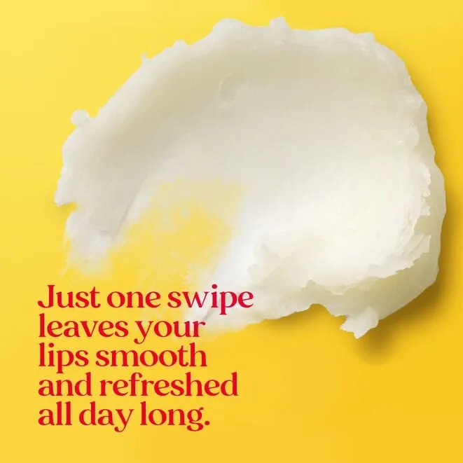 Burts Bees Freshly Picked Lip Balm Set