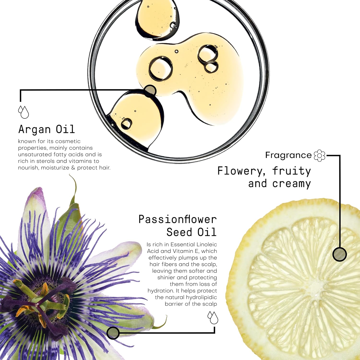 Framesi Morphosis Sublimis Oil All Day Emulsion