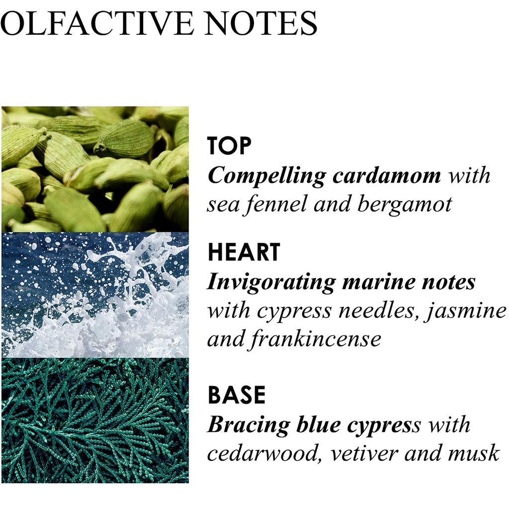 Molton Brown Coastal Cypress Sea Fennel Bath And Shower Gel