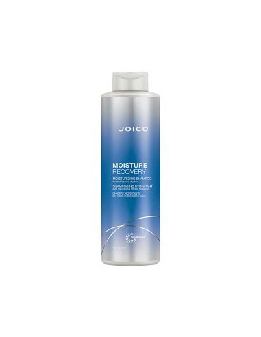 Joico Moisture Recovery Shampoo