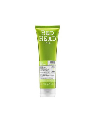 Bed Head Urban Anti Dotes Re Energize Shampoo