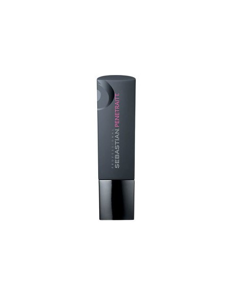 Foundation Penetraitt Strengthening And Repair Shampoo Foundation Penetraitt Strengthening And Repair Shampoo