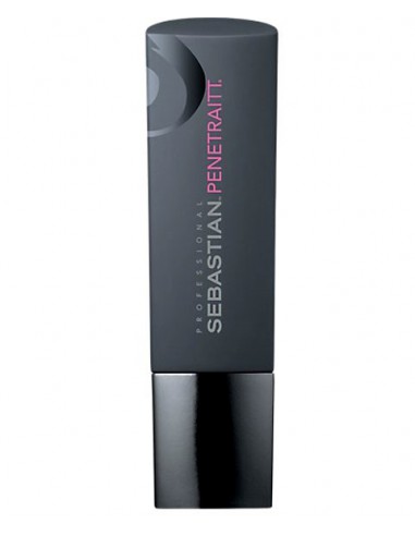 Foundation Penetraitt Strengthening And Repair Shampoo Foundation Penetraitt Strengthening And Repair Shampoo