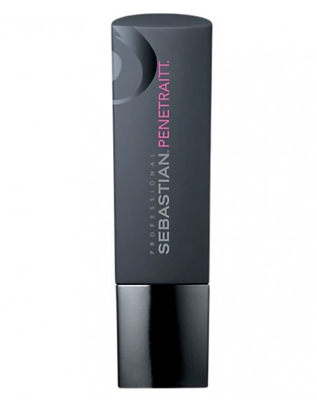 Foundation Penetraitt Strengthening And Repair Shampoo Foundation Penetraitt Strengthening And Repair Shampoo