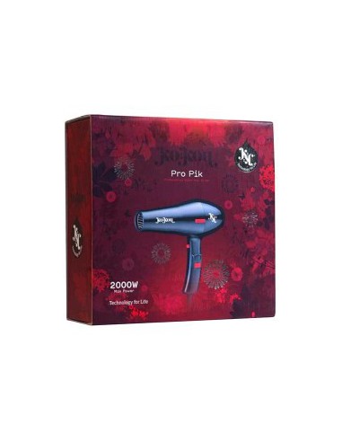 Pro Pik Professional Salon Hair Dryer