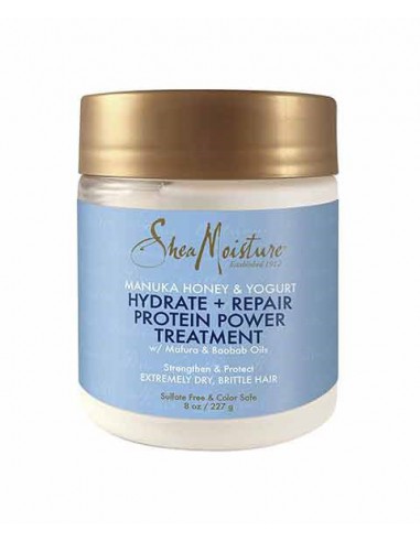 Manuka Honey And Yogurt Hydrate Repair Protein Power Treatment