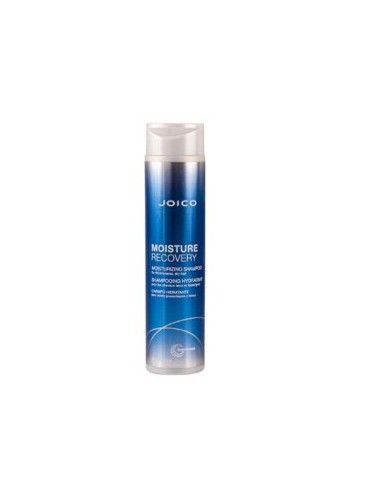 Moisture Recovery Moisturizing Shampoo