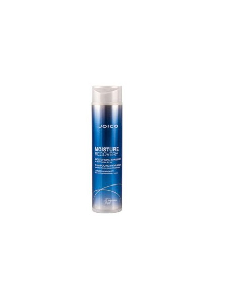 Moisture Recovery Moisturizing Shampoo Moisture Recovery Moisturizing Shampoo