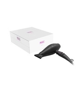 Professional Hair Dryer