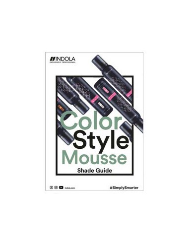 Color Style Mousse Shade Guide