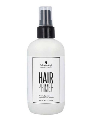 Hair Primer Porosity Equalizer