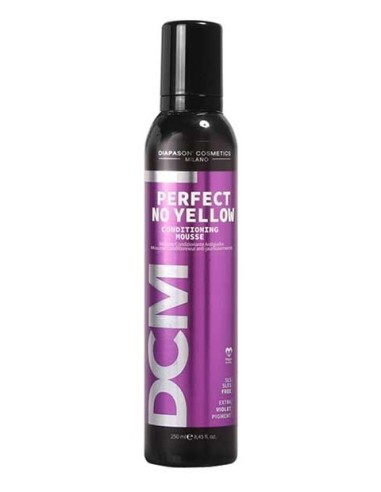 Perfect No Yellow Conditioning Mousse Perfect No Yellow Conditioning Mousse