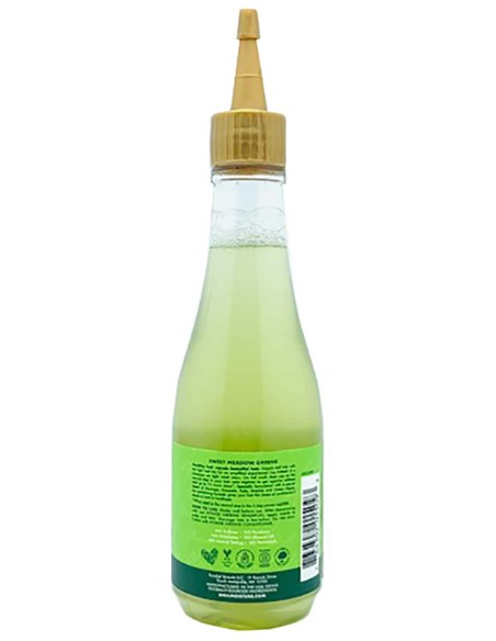 Power Greens Moringa And Avocado Hair Tea Rinse Power Greens Moringa And Avocado Hair Tea Rinse