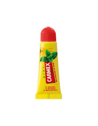 Carmex Moisturising Lip Balm Tube