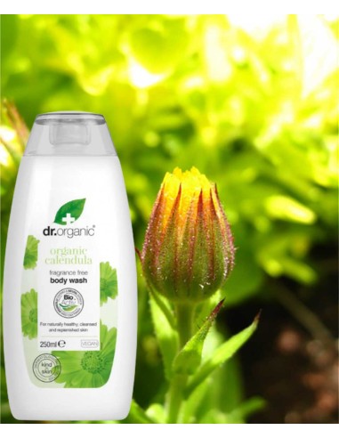 Organic Calendula Fragrance Free Body Wash