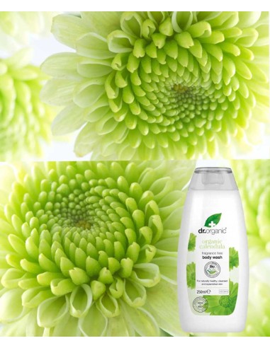 Organic Calendula Fragrance Free Body Wash