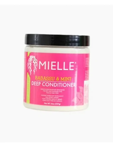 Mielle Babassu And Mint Deep Conditioner