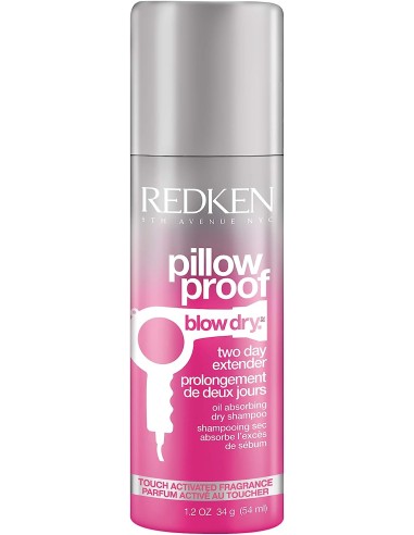 Redken Pillow Proof Blow Dry