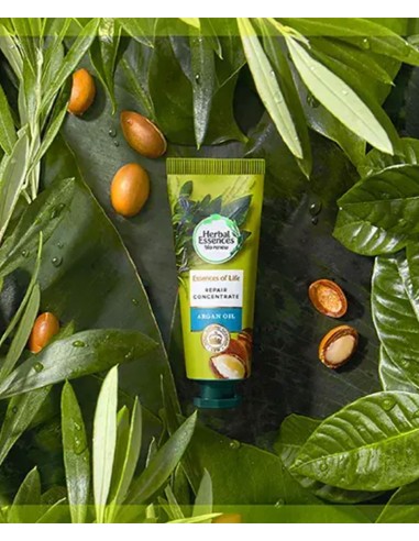 Herbal Essences Of Life Repair Concentrate Argan Oil Cream Herbal Essences Of Life Repair Concentrate Argan Oil Cream