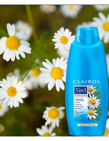 Clairol 5 In 1 Everyday Conditioning Conditioner Clairol 5 In 1 Everyday Conditioning Conditioner