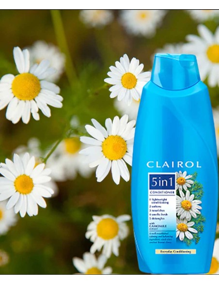 Clairol 5 In 1 Everyday Conditioning Conditioner Clairol 5 In 1 Everyday Conditioning Conditioner