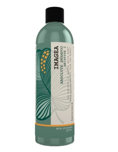 ElgonImagea Absolute Shampoo Hairtype 2