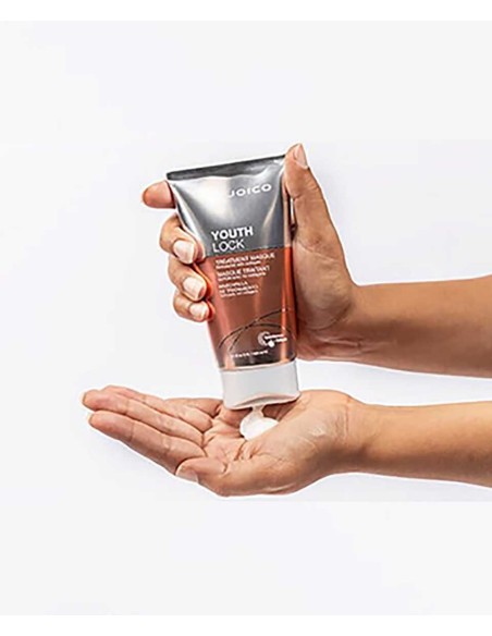 Joico Youth Lock Treatment Masque Joico Youth Lock Treatment Masque