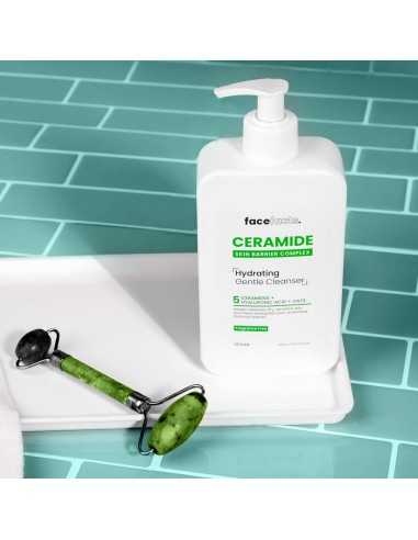 Face Facts Ceramide Hydrating Gentle Cleanser
