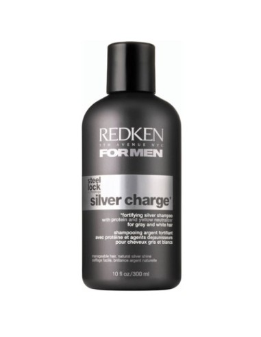 Redken For MenFor Men Silver Charge Fortifying Silver Shampoo