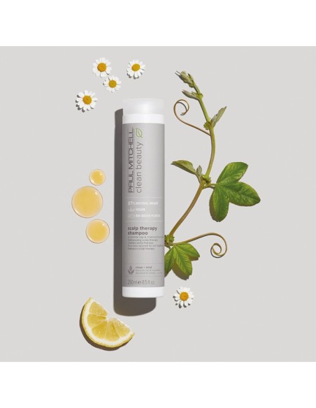 Paul Mitchell Clean Beauty Scalp Therapy Shampoo