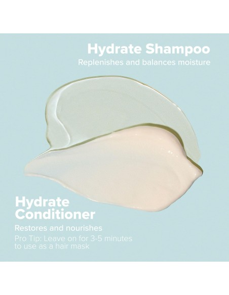 Paul Mitchell Clean Beauty Hydrate Shampoo Paul Mitchell Clean Beauty Hydrate Shampoo