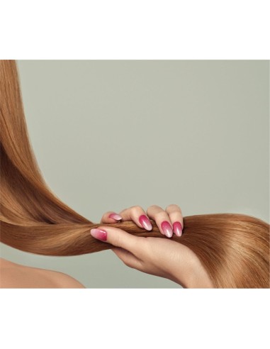 Xpel Argan Oil Hair Treatment