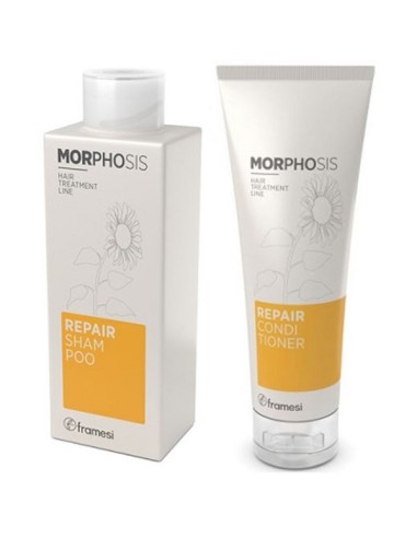 MorphosisMorphosis Repair Shampoo And Conditioner Kit MorphosisMorphosis Repair Shampoo And Conditioner Kit