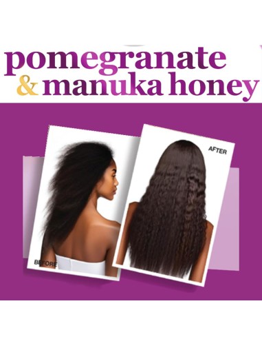 Difeel Pomegranate & Manuka Honey Shampoo Difeel Pomegranate & Manuka Honey Shampoo