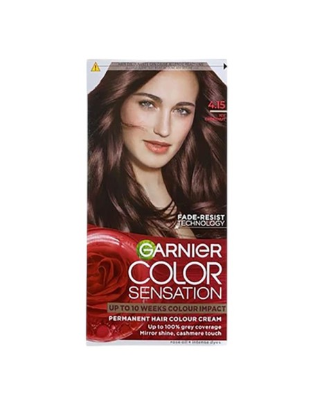 GarnierColor Sensation Intense Permanent Colour Cream Icy Chestnut 4.15 GarnierColor Sensation Intense Permanent Colour Cream Icy Chestnut 4.15