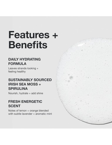 Paul MitchellPaul Mitchell Instant Moisture Shampoo Paul MitchellPaul Mitchell Instant Moisture Shampoo