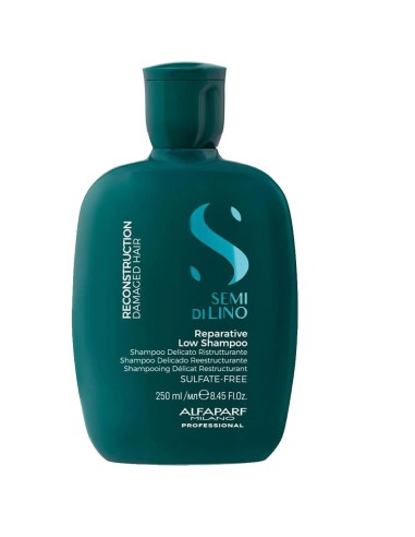 Semi Dilino Reconstruction Damaged Hair Reparative Low Shampoo Semi Dilino Reconstruction Damaged Hair Reparative Low Shampoo