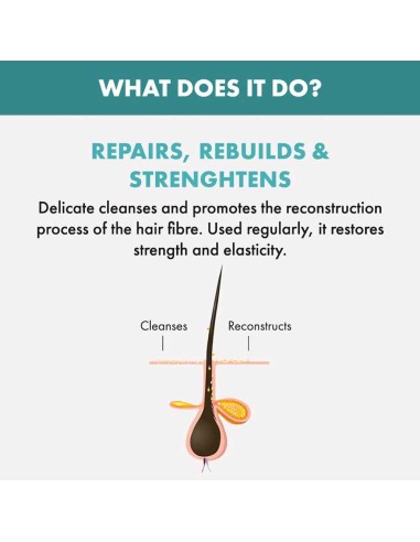 Semi Dilino Reconstruction Damaged Hair Reparative Low Shampoo Semi Dilino Reconstruction Damaged Hair Reparative Low Shampoo