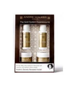The Gold System Experience Kit