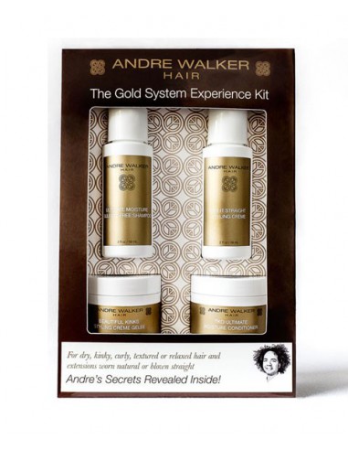 The Gold System Experience Kit