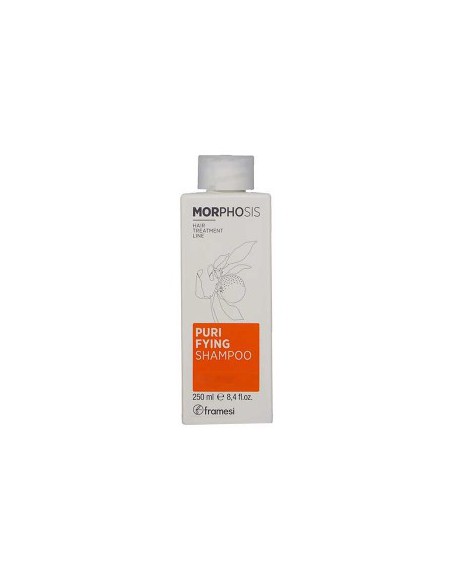 Morphosis Purifying Shampoo Morphosis Purifying Shampoo