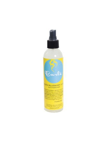 Aloe And Blueberry Juice Curl Moisturizer