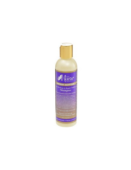 Ancient Egyptian Anti Breakage And Repair Antidote Shampoo Ancient Egyptian Anti Breakage And Repair Antidote Shampoo