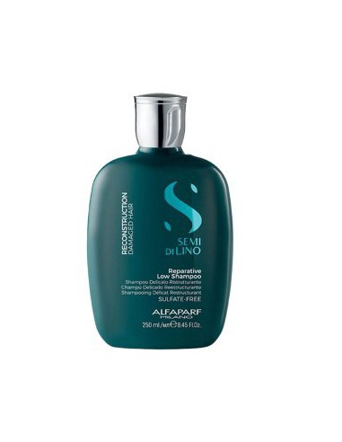 Semi Dilino Reconstruction Damaged Hair Reparative Low Shampoo Semi Dilino Reconstruction Damaged Hair Reparative Low Shampoo