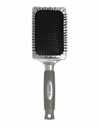 The Big Brush Paddle Brush The Big Brush Paddle Brush